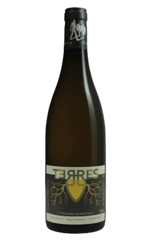 Terres - Amphore - Blanc