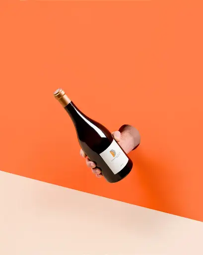 Chenin du Puy